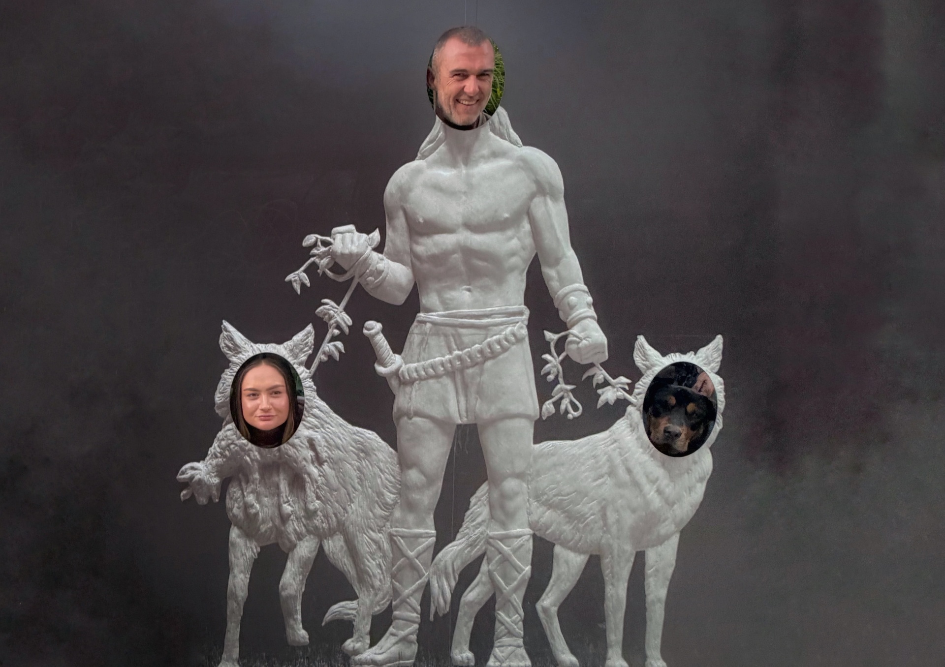 Meet the Team