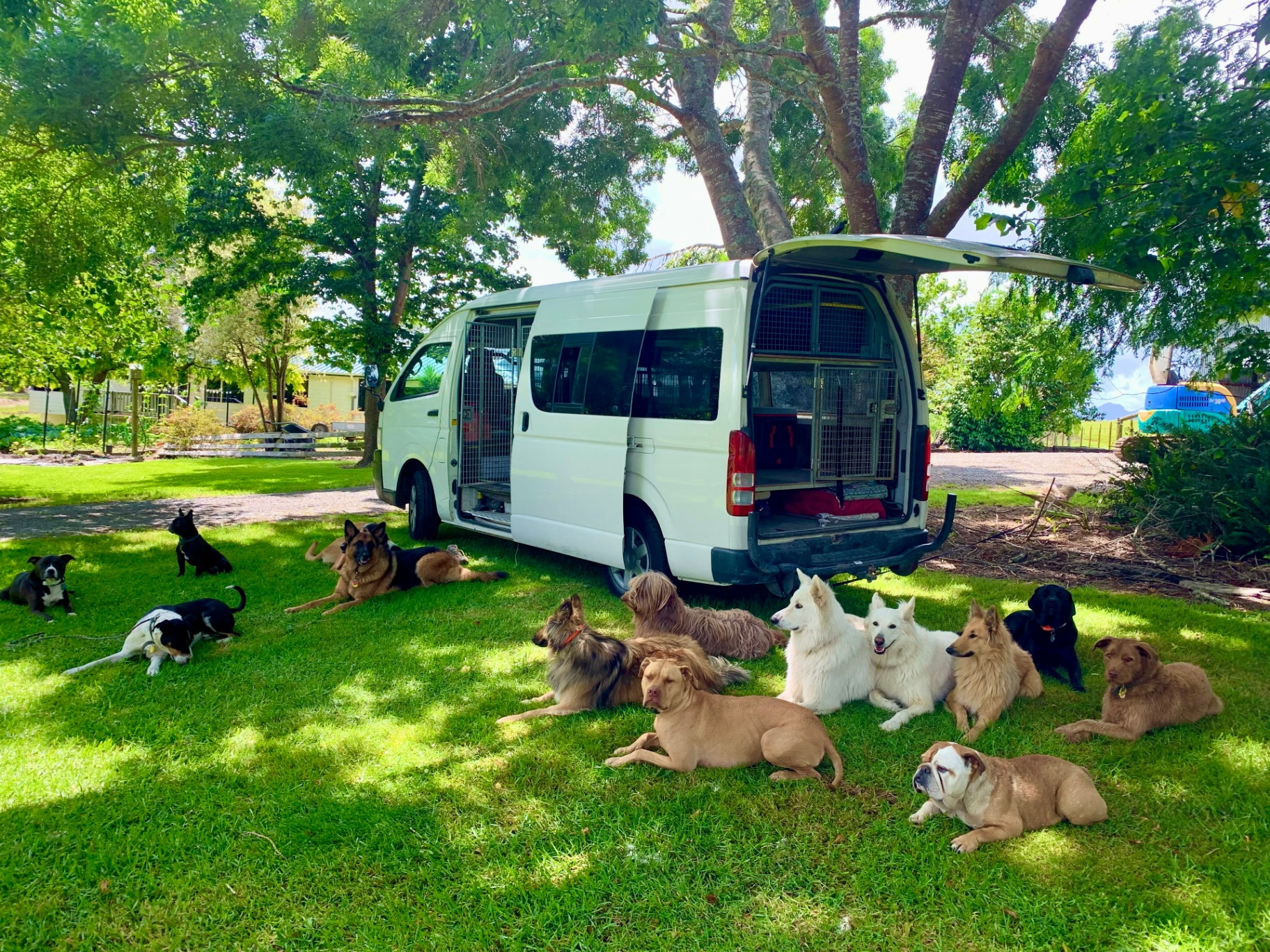 K9 Cadets school bus van with the pack